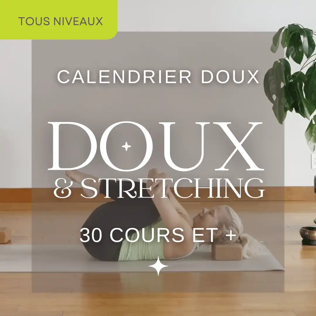 Yoga doux, Stretching, yin et restaurateur