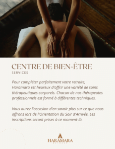 Offre d'abonnement annuel à Virtuel Yoga Santé – accès illimité aux cours en ligne, méditations et ateliers pour une année complète.