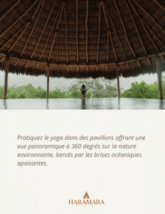 Yoga en ligne, séance de yoga doux pour la relaxation et l'équilibre mental.