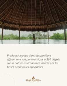 Yoga en ligne, séance de yoga doux pour la gestion du stress et l'amélioration de la posture."