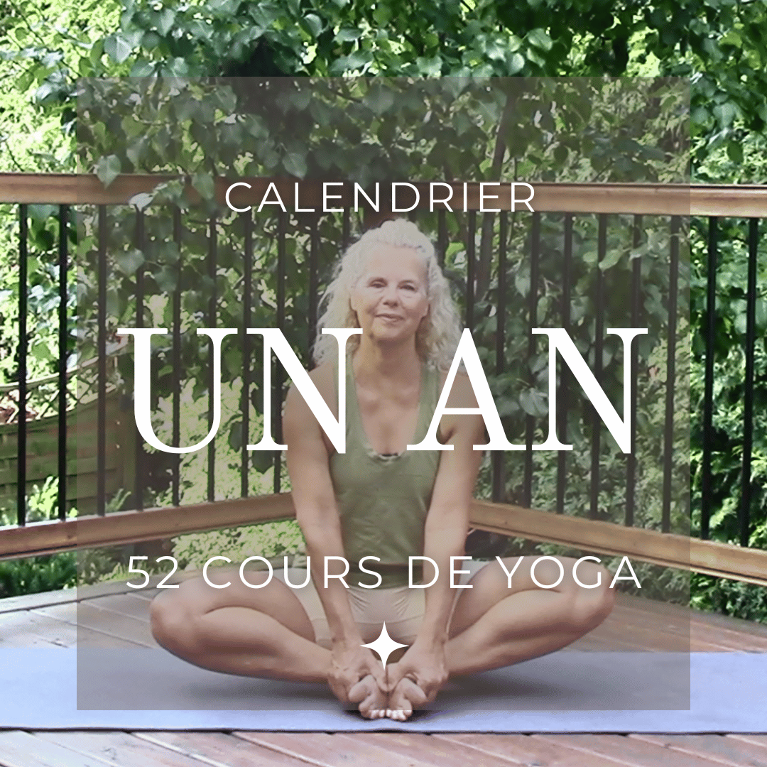 Un an de Yoga – 52 cours